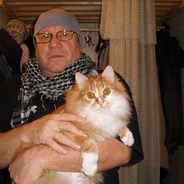 ���� �������, �������, 71 ��� - ��������� 25 ������� 2017