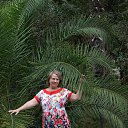 ���� �������, �����, 68 ��� - ��������� 30 ���� 2017 � ������ ���� ����������