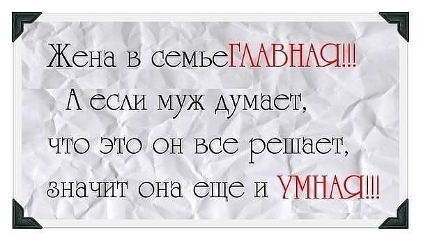 Иду, смотрю 2 голубя сидят, один другого по голове тюк-тюк…второй взъерошился, но молчит, терпит… ... - 3
