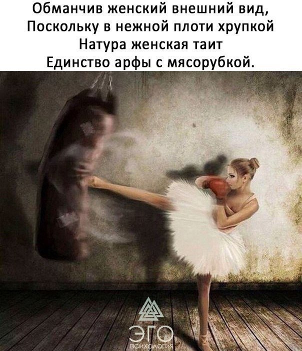  | ,  - 7  2017  14:34