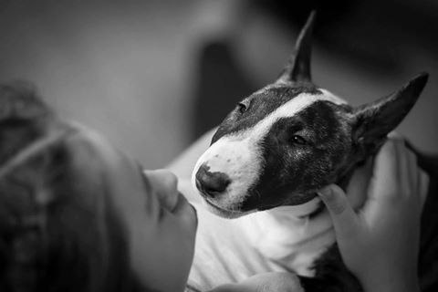 Добрый день всем жителям Буле-Городка ))).Для новых участников группы и для всех кто ищет полезную ...