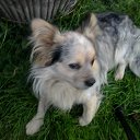 ���� �������, ����� - ��������� 5 ���� 2017 � ������ ���� ����������