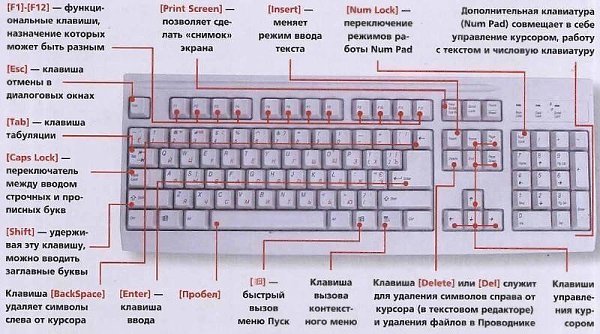 ЗНАЕТЕ ЛИ ВЫ КЛАВИАТУРУ НА СВОЁМ КОМПЬЮТЕРЕ? F1— вызывает «справку» Windows или окно помощи активной ...
