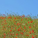  , , 60  -  30  2017   ,,, 2017