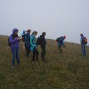 �����������, � ����� ������� ���� ������ �� ������� �������_2017�