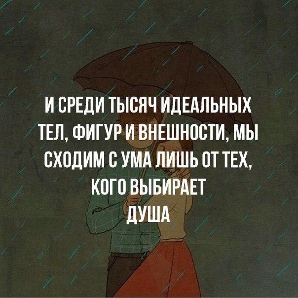   - 19  2017  21:12