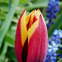 ��� 2017 �� ������� ���� ����������� (!) ��������)�