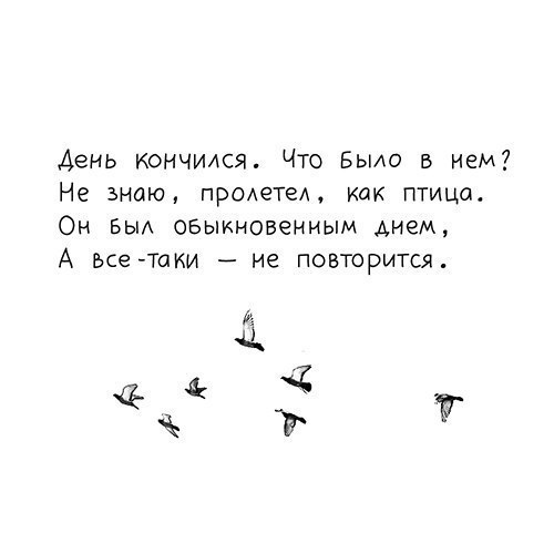  | ,  - 4  2017  00:28
