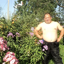 �����, ��������, 52 ����