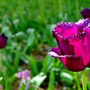  ,  -  15  2017       Ż