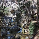  , , 60  -  11  2017     ,,01.04.17