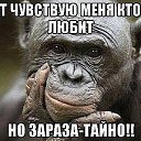 ���� Yuriy, ���������, 43 ���� - ��������� 16 ������� 2017 � ������ ���������