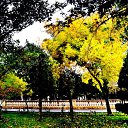  ,  -  24  2017                   Ѩ       һ