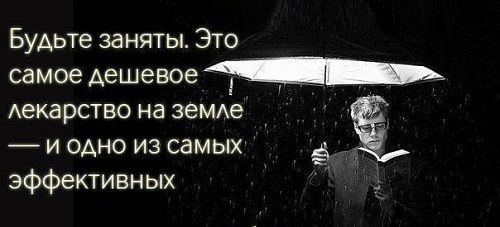      - 16  2017  17:36