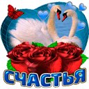 ���� Walera, �������� - ��������� 17 ������ 2017 � ������ ������ ��������
