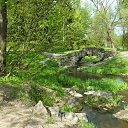 ���� �����, �����-���������, 51 ��� - ��������� 5 ���� 2017 � ������ ������ � ���������� �����