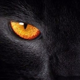 ���� �����, ������������, 50 ��� - ��������� 2 ���� 2017