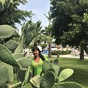 ���� �����, ������ - ��������� 25 ���� 2017 � ������ ���� ����������