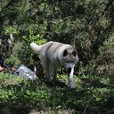 ���� ����, �����������, 40 ��� - ��������� 3 ��� 2017 � ������ ���� ����������