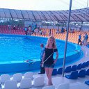 ���� ����, �������� - ��������� 17 ������ 2017