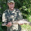 ���� �����, ����-�����������, 52 ���� - ��������� 26 �������� 2017 � ������ ���� ����������