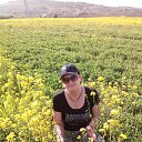 ���� ������, �����, 59 ��� - ��������� 25 ���� 2017 � ������ ���� ����������