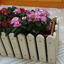 ���� ������, ���������, 49 ��� - ��������� 7 ������ 2017 � ������ ���� ������