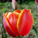 ��� 2017 �� ������� ���� ����������� (!) ��������)�