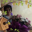 ���� ������, ���������� - ��������� 26 ������ 2017 � ������ ���� ����������