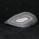 ���� ������, �����-��������� - ��������� 25 ������ 2017 � ������ �����������