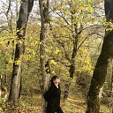 ���� �����, ���������, 47 ��� - ��������� 2 ������ 2017 � ������ ���� ����������