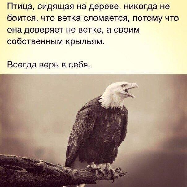 ...������ ���������� ������������ �����