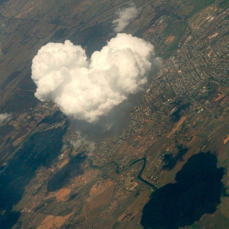 ����� ������� ������