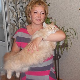 �������, �����, 58 ���