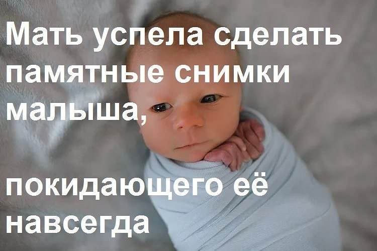      ,    ,   -   .    ...