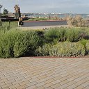 ���� ����, ���������, 46 ��� - ��������� 17 �������� 2017 � ������ ���� ����������