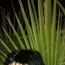 ���� �������, �����-���������, 65 ��� - ��������� 20 ������� 2017 � ������ ���� ����������