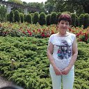 ���� ������� �����, ������ - ��������� 27 �������� 2017 � ������ ���� ����������