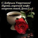 ���� ������, ������� - ��������� 13 ���� 2017 � ������ �������� ��������