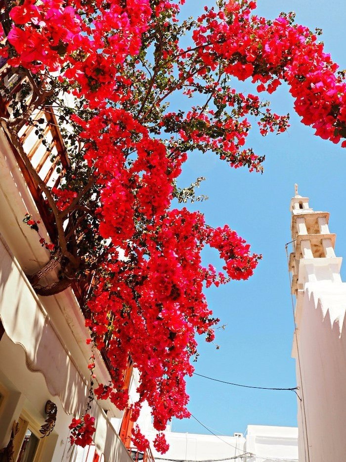 Миконос, Греция | Путешествия | Туризм | Отдых на 5 | Фотострана | Пост ...