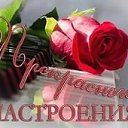 ���� ��������, ����, 60 ��� - ��������� 15 ������� 2017 � ������ �����������