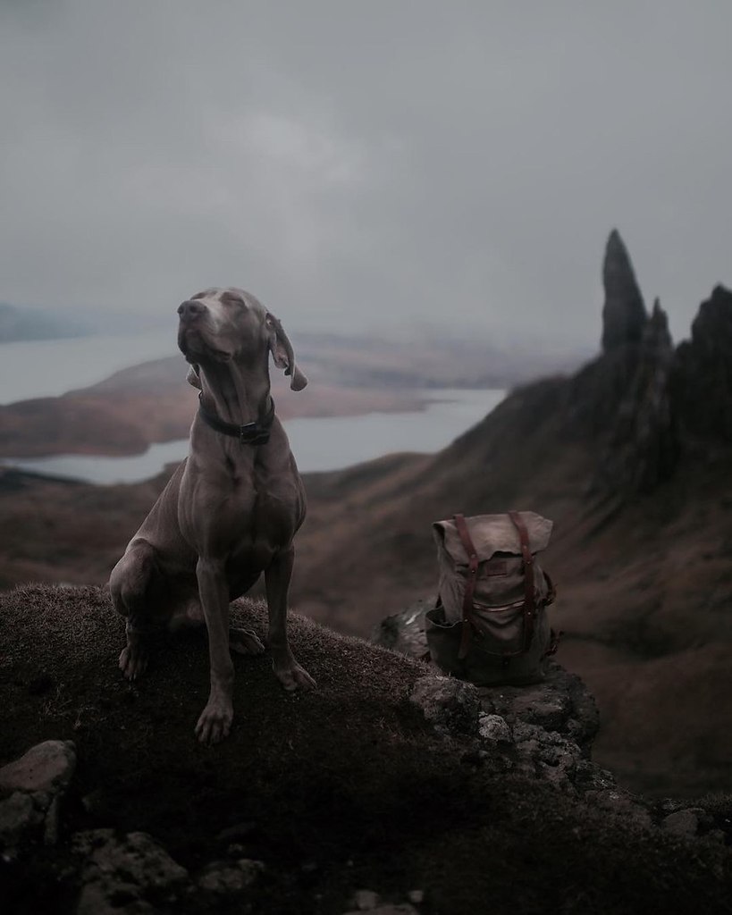 a     a       a  ...