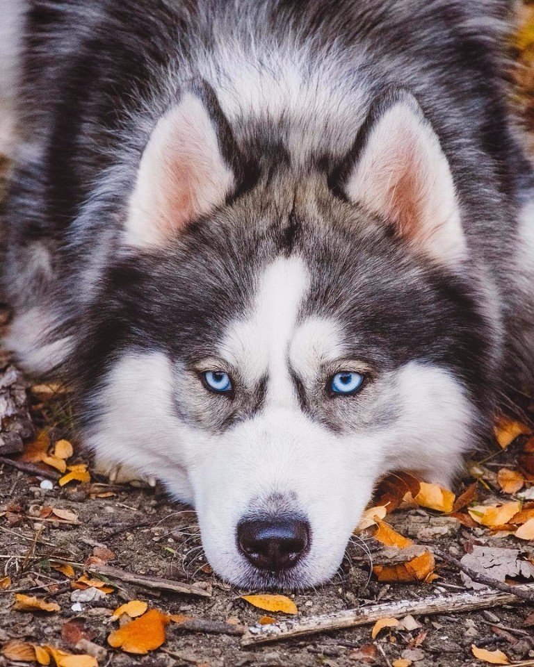 E s t h e t i q u e - 11  2017  23:53 - 7