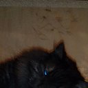 ���� �����, ����-�������, 59 ��� - ��������� 24 ��� 2017 � ������ ���� ����������