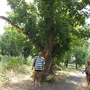 ���� ������, ������-��-����, 52 ���� - ��������� 21 ���� 2017 � ������ ���� ����������