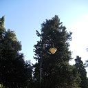  , , 60  -  2  2017   ,02.09.17. &quot;  &quot;