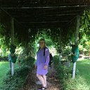 ���� ��������, �����, 63 ���� - ��������� 2 ���� 2017 � ������ ���� ����������