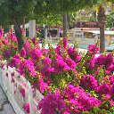 ���� �����, ������, 54 ���� - ��������� 24 ������� 2017 � ������ �������