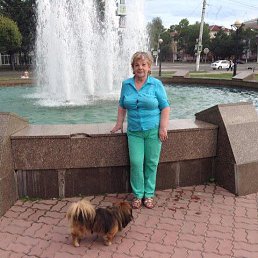 ����, �����-���������, 77 ���