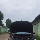 ���� �����, �����-���������, 34 ���� - ��������� 17 ������ 2017